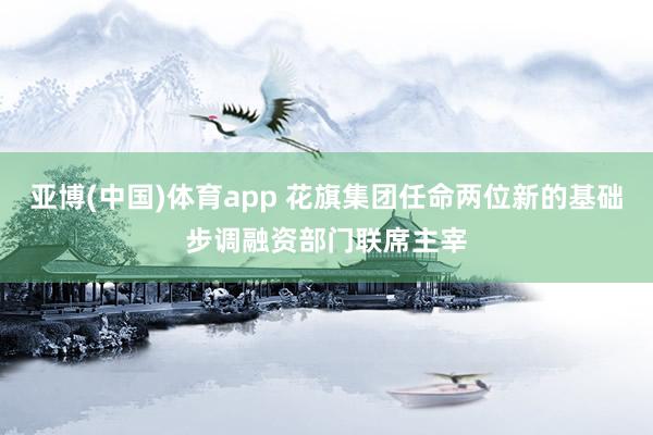 亚博(中国)体育app 花旗集团任命两位新的基础步调融资部门联席主宰