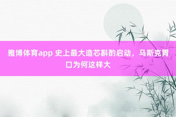 雅博体育app 史上最大造芯斟酌启动，马斯克胃口为何这样大