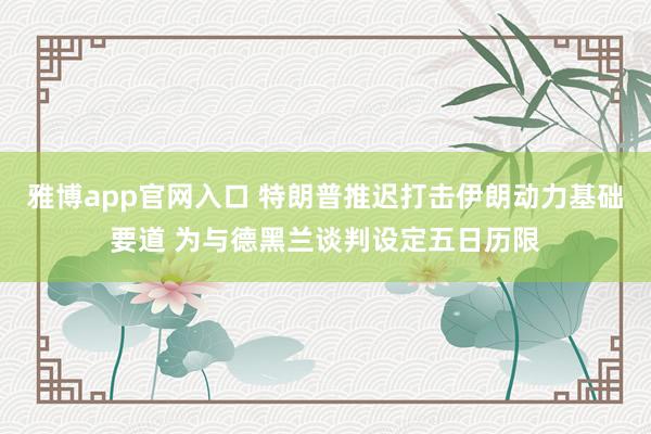 雅博app官网入口 特朗普推迟打击伊朗动力基础要道 为与德黑兰谈判设定五日历限