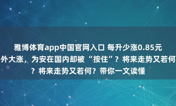 雅博体育app中国官网入口 每升少涨0.85元傍边！油价在海外大涨，为安在国内却被 “按住”？将来走势又若何？带你一文读懂