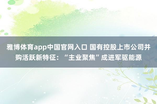 雅博体育app中国官网入口 国有控股上市公司并购活跃新特征：“主业聚焦”成进军驱能源