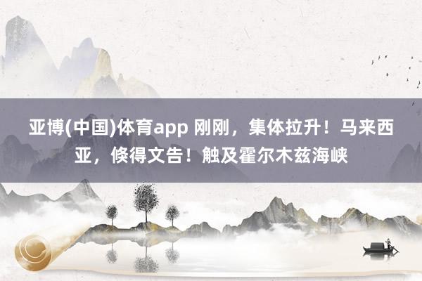 亚博(中国)体育app 刚刚，集体拉升！马来西亚，倏得文告！触及霍尔木兹海峡