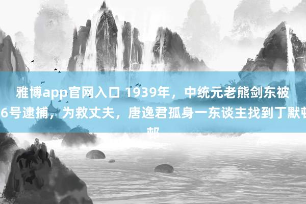 雅博app官网入口 1939年，中统元老熊剑东被76号逮捕，为救丈夫，唐逸君孤身一东谈主找到丁默邨