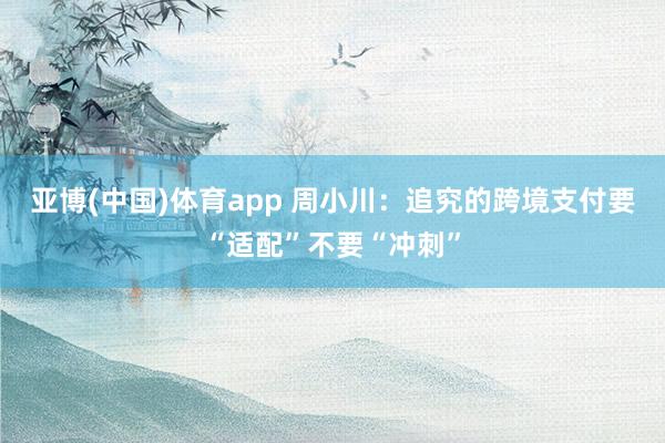 亚博(中国)体育app 周小川：追究的跨境支付要“适配”不要“冲刺”
