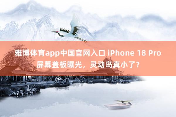 雅博体育app中国官网入口 iPhone 18 Pro屏幕盖板曝光，灵动岛真小了？