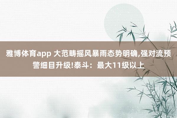 雅博体育app 大范畴摇风暴雨态势明确,强对流预警细目升级!泰斗：最大11级以上