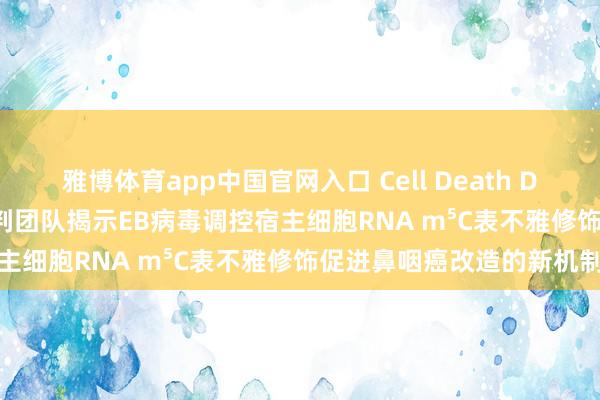 雅博体育app中国官网入口 Cell Death Differ丨贝锦新/罗春玲谈判团队揭示EB病毒调控宿主细胞RNA m⁵C表不雅修饰促进鼻咽癌改造的新机制