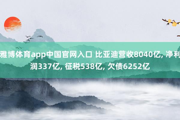 雅博体育app中国官网入口 比亚迪营收8040亿， 净利润337亿， 征税538亿， 欠债6252亿