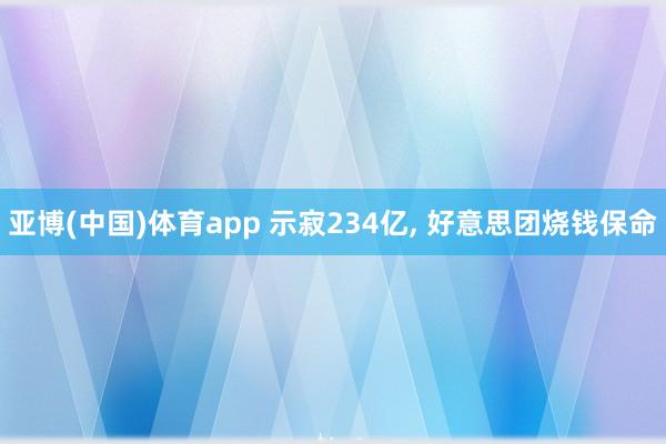 亚博(中国)体育app 示寂234亿, 好意思团烧钱保命