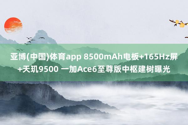 亚博(中国)体育app 8500mAh电板+165Hz屏+天玑9500 一加Ace6至尊版中枢建树曝光