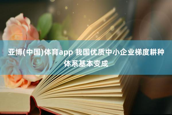 亚博(中国)体育app 我国优质中小企业梯度耕种体系基本变成