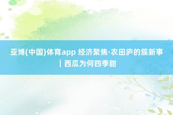 亚博(中国)体育app 经济聚焦·农田庐的簇新事｜西瓜为何四季甜