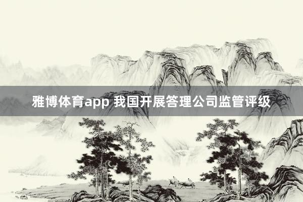 雅博体育app 我国开展答理公司监管评级