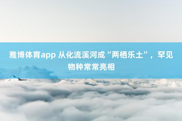 雅博体育app 从化流溪河成“两栖乐土”，罕见物种常常亮相