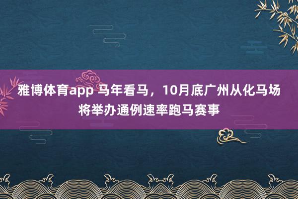 雅博体育app 马年看马，10月底广州从化马场将举办通例速率跑马赛事
