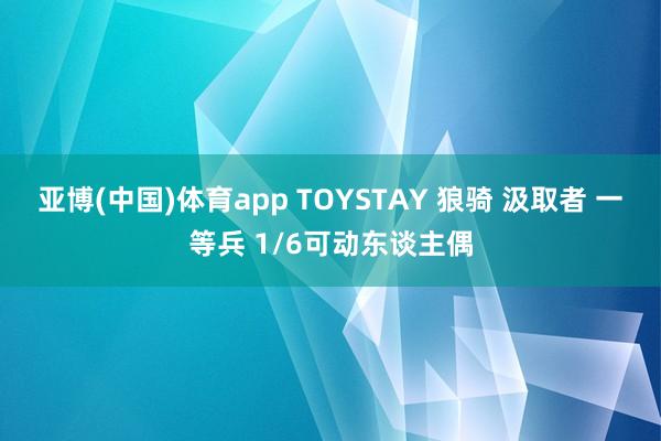 亚博(中国)体育app TOYSTAY 狼骑 汲取者 一等兵 1/6可动东谈主偶