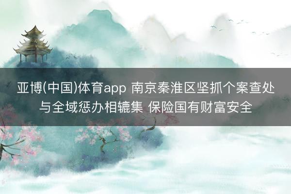 亚博(中国)体育app 南京秦淮区坚抓个案查处与全域惩办相辘集 保险国有财富安全