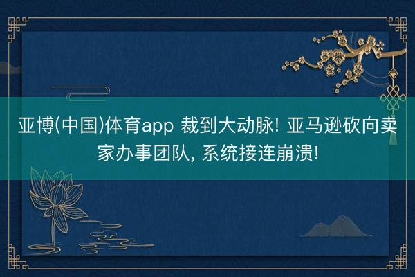 亚博(中国)体育app 裁到大动脉! 亚马逊砍向卖家办事团队， 系统接连崩溃!