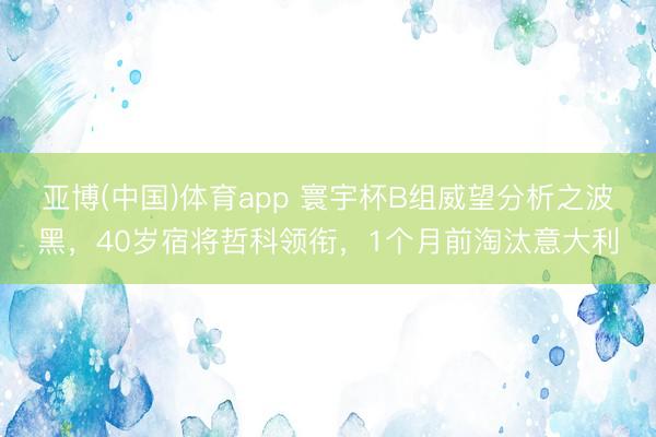 亚博(中国)体育app 寰宇杯B组威望分析之波黑，40岁宿将哲科领衔，1个月前淘汰意大利