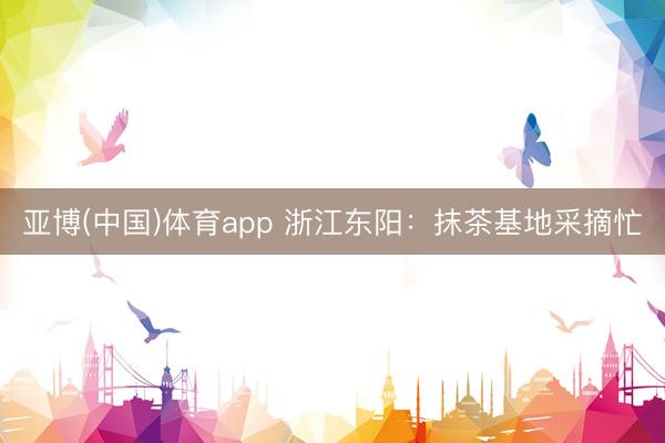 亚博(中国)体育app 浙江东阳：抹茶基地采摘忙