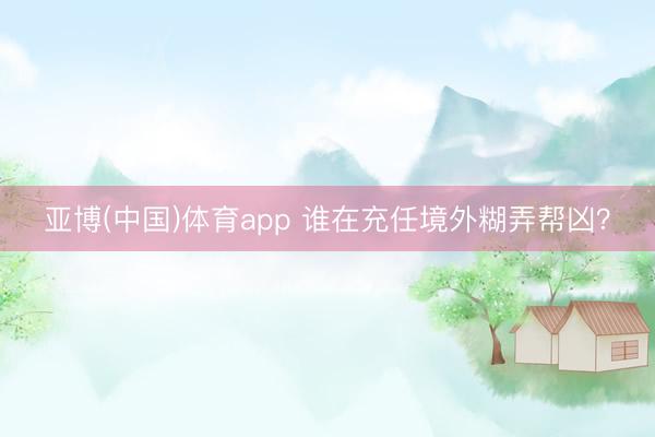 亚博(中国)体育app 谁在充任境外糊弄帮凶？
