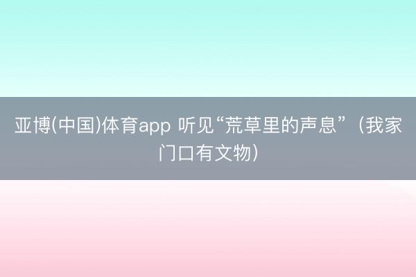 亚博(中国)体育app 听见“荒草里的声息”（我家门口有文物）