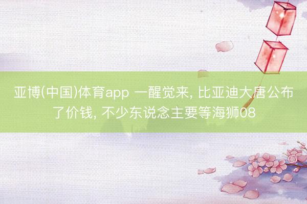 亚博(中国)体育app 一醒觉来, 比亚迪大唐公布了价钱, 不少东说念主要等海狮08