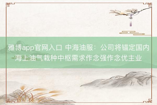 雅博app官网入口 中海油服：公司将锚定国内海上油气栽种中枢需求作念强作念优主业